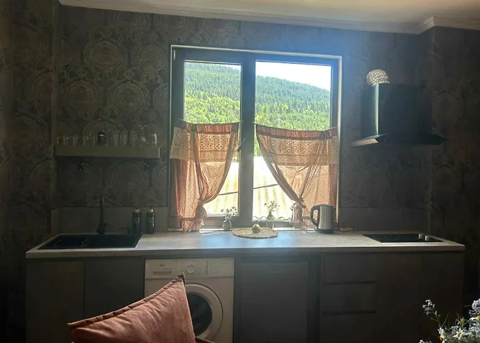 Nino Ratiani\'S Guesthouse